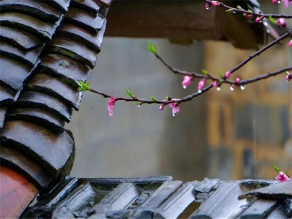 仿古青瓦，青瓦廠家